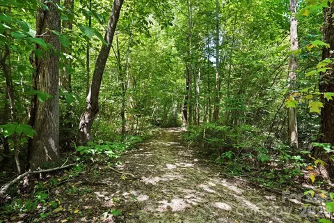 Other - 16705 Summers Walk Blvd, Davidson, NC 28036 photo 15 of 15
