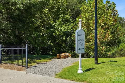 View/Area - 16705 Summers Walk Blvd, Davidson, NC 28036 photo 3 of 3