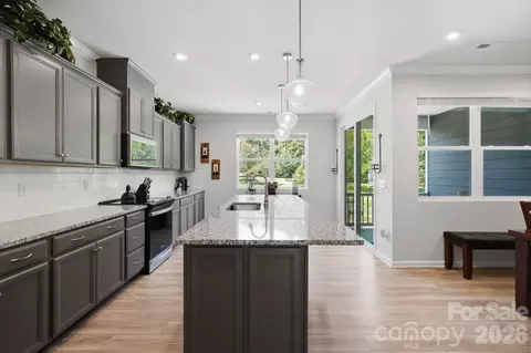 Kitchen - 16705 Summers Walk Blvd, Davidson, NC 28036 photo 2 of 6