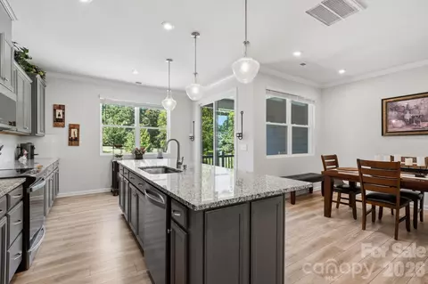 Kitchen - 16705 Summers Walk Blvd, Davidson, NC 28036 photo 6 of 6