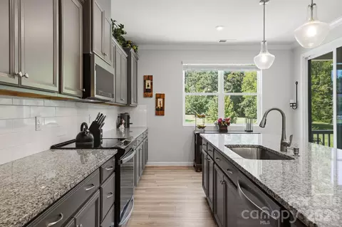 Kitchen - 16705 Summers Walk Blvd, Davidson, NC 28036 photo 5 of 6