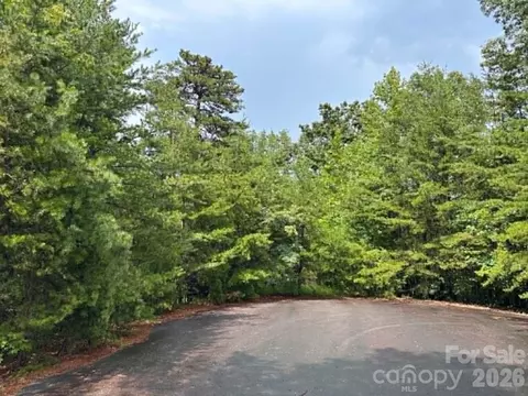 Fire Tower Road, Bostic, NC 28018 photo 2