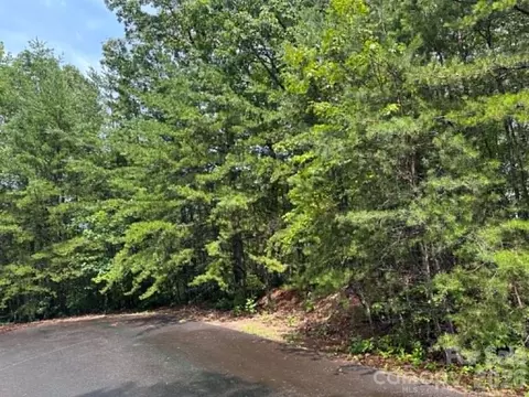 Fire Tower Road, Bostic, NC 28018 photo 3