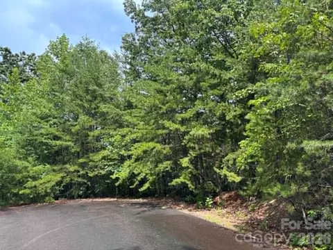 Fire Tower Road, Bostic, NC 28018 photo 4
