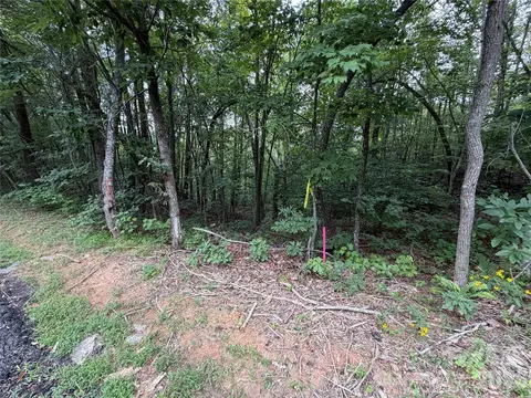 69 Idlewild Dr, Bostic, NC 28018 photo 15