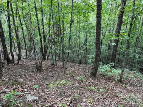 69 Idlewild Dr, Bostic, NC 28018 photo 8