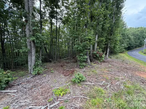 69 Idlewild Dr, Bostic, NC 28018 photo 5