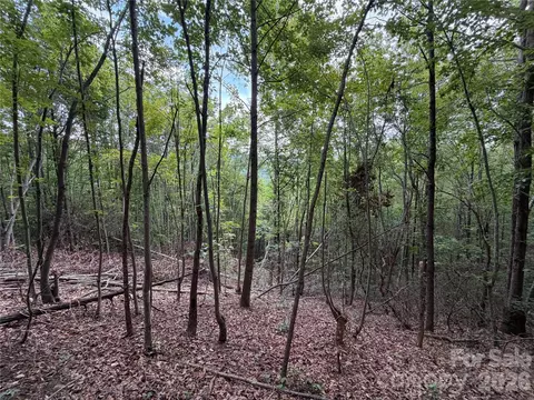 69 Idlewild Dr, Bostic, NC 28018 photo 7