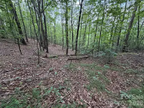 69 Idlewild Dr, Bostic, NC 28018 photo 11