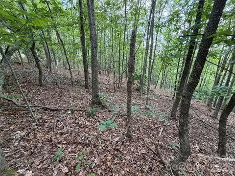 69 Idlewild Dr, Bostic, NC 28018 photo 9