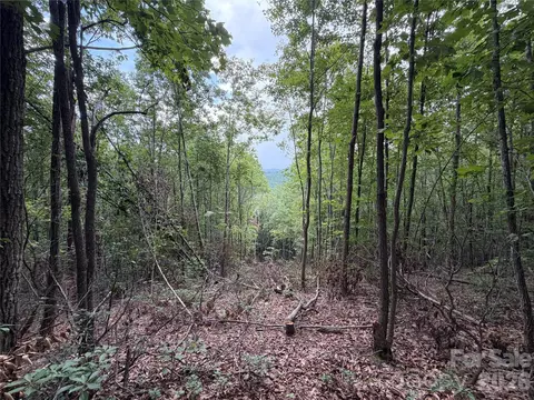 69 Idlewild Dr, Bostic, NC 28018 photo 2