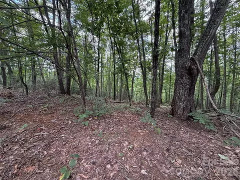69 Idlewild Dr, Bostic, NC 28018 photo 16