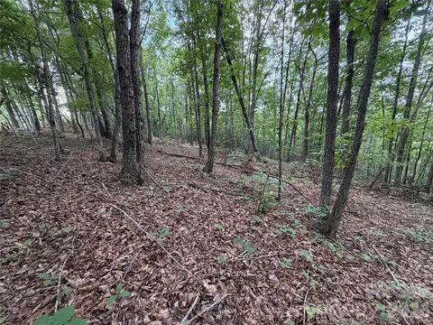 69 Idlewild Dr, Bostic, NC 28018 photo 14