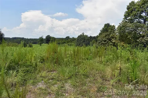 60 Malden Ct, Crouse, NC 28033 photo 9