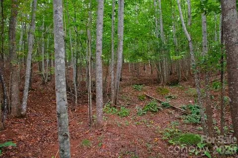 0 Creekside 110 Cir #110, Rutherfordton, NC 28139