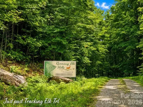 1000 Yonah 7 Trl #7, Waynesville, NC 28785