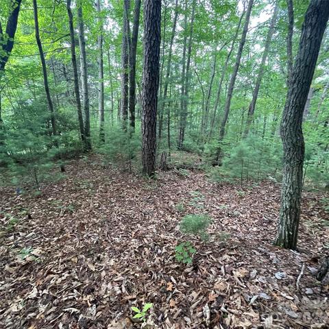 106 Red Mulberry Dr, Zirconia, NC 28790