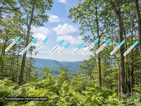 Summit Drive, Canton, NC 28716 photo 4
