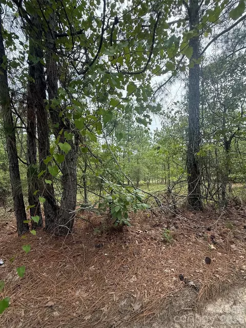 Sheridan Oliver Road, Ruby, SC 29741 photo 5