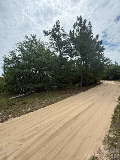 Sheridan Oliver Road, Ruby, SC 29741 photo 3