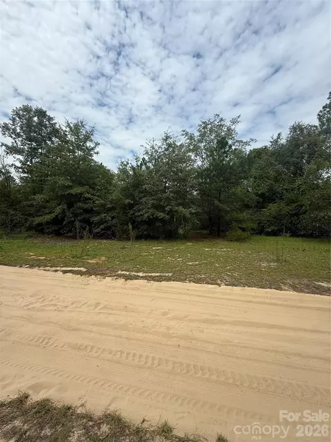 Sheridan Oliver Road, Ruby, SC 29741 photo 2