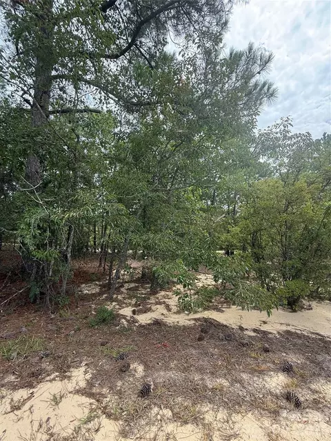 Sheridan Oliver Road, Ruby, SC 29741 photo 4