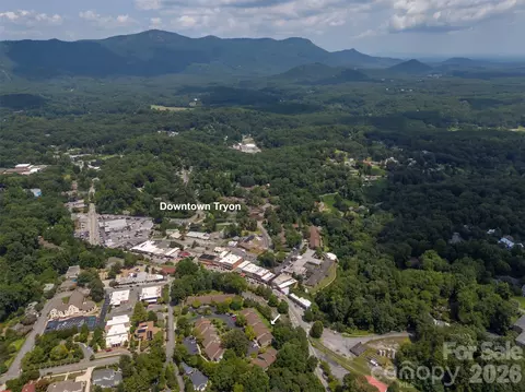 View/Area - 77 Chestnut 305 St #305, Tryon, NC 28782 photo 1 of 4