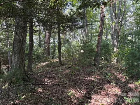 00 Early Frost 98 Pl #98, Waynesville, NC 28785