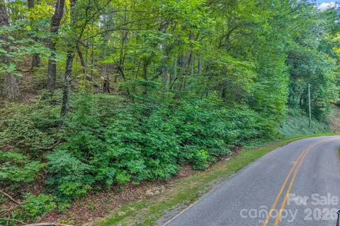 00 Hogback Mountain 63 Rd #63, Tryon, NC 28782 photo 4