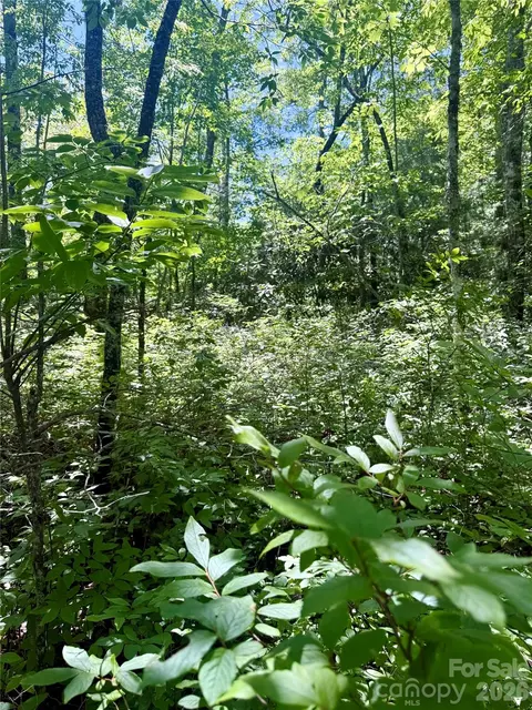 32 Indian Lake Road #32, Lake Toxaway, NC 28747