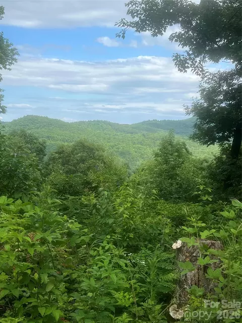 High Peak Road, Hendersonville, NC 28792
