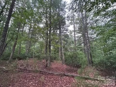 59 Captains 224 Dr #224, Nebo, NC 28761