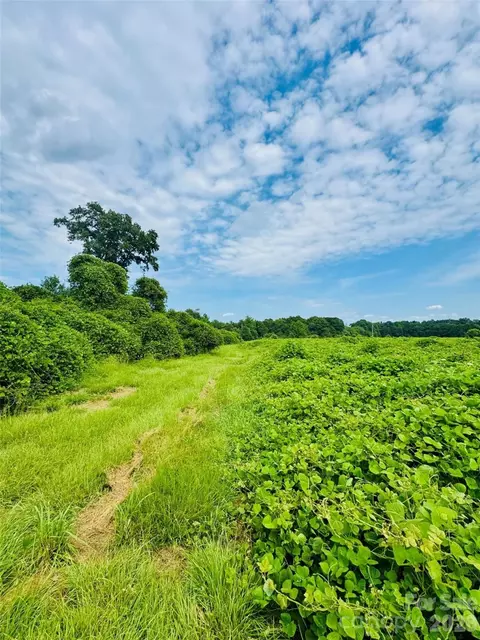 0000 Skeeter Ln, Mccoll, SC 29570 photo 14