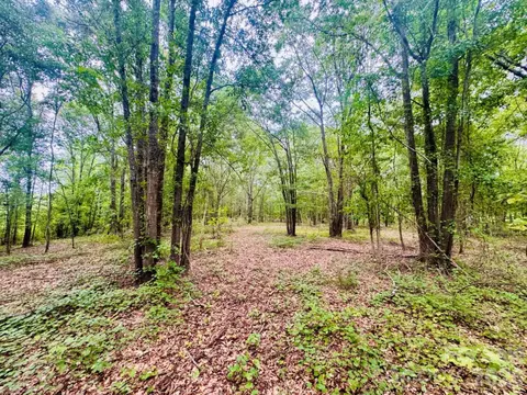 0000 Skeeter Ln, Mccoll, SC 29570 photo 10