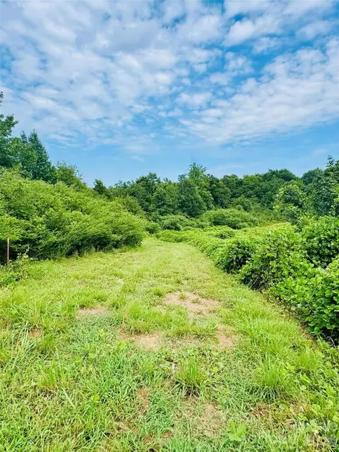 0000 Skeeter Ln, Mccoll, SC 29570 photo 18