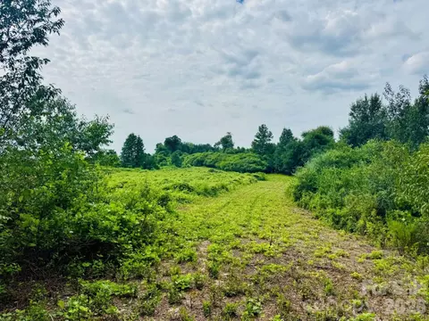 0000 Skeeter Ln, Mccoll, SC 29570 photo 20