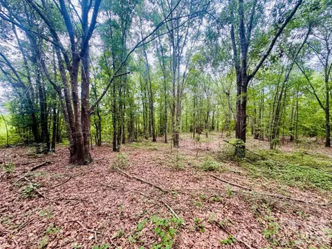0000 Skeeter Ln, Mccoll, SC 29570 photo 4