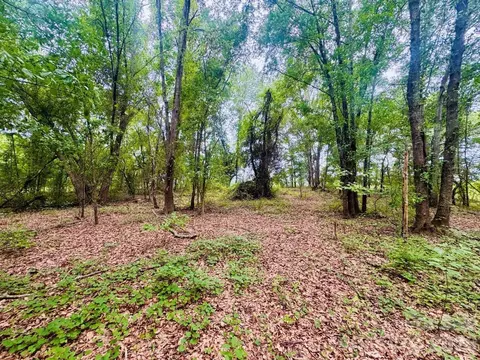 0000 Skeeter Ln, Mccoll, SC 29570 photo 12