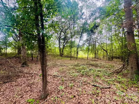 0000 Skeeter Ln, Mccoll, SC 29570 photo 7