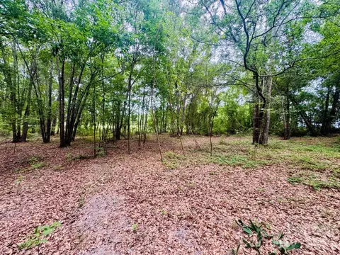 0000 Skeeter Ln, Mccoll, SC 29570 photo 6