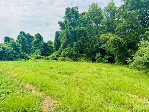 0000 Skeeter Ln, Mccoll, SC 29570 photo 3