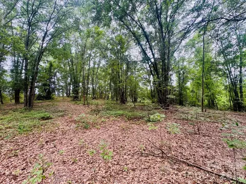 0000 Skeeter Ln, Mccoll, SC 29570 photo 13