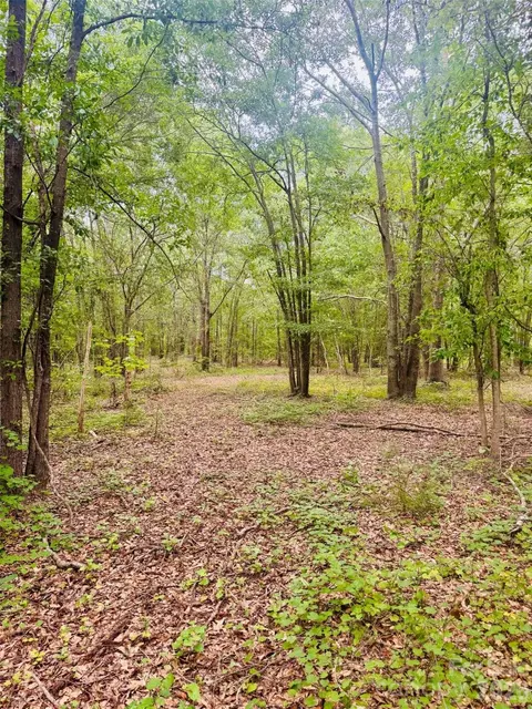 0000 Skeeter Ln, Mccoll, SC 29570 photo 9