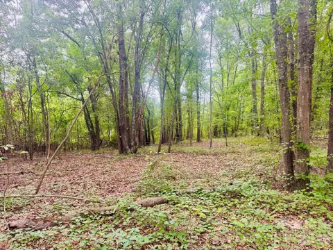 0000 Skeeter Ln, Mccoll, SC 29570 photo 11