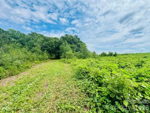 0000 Skeeter Ln, Mccoll, SC 29570 photo 22