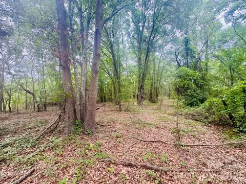 0000 Skeeter Ln, Mccoll, SC 29570 photo 5