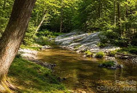 Other - 117 Horse Shoe Ridge E Rd E, Deep Gap, NC 28618 photo 9 of 9