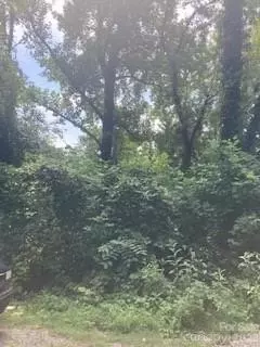 99999 Old Haw Creek Lot 1 Rd #LOT 1, Asheville, NC 28805
