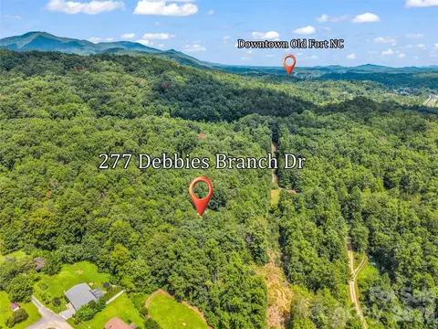 277 Debbies Branch Dr, Old Fort, NC 28762