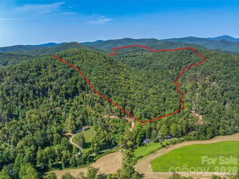 567 Davey Branch Rd, Horse Shoe, NC 28742